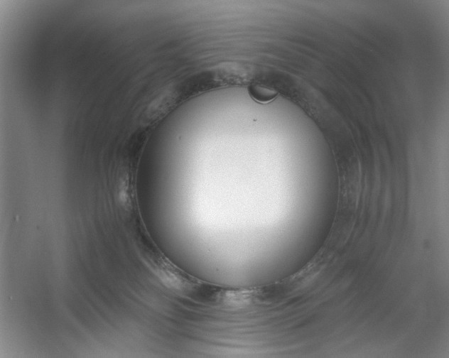 X0000053070134200507251509