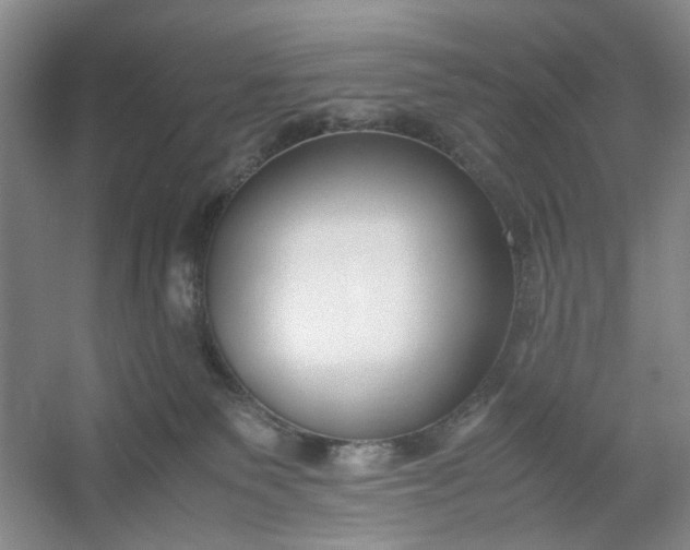 X0000053070135200507251509