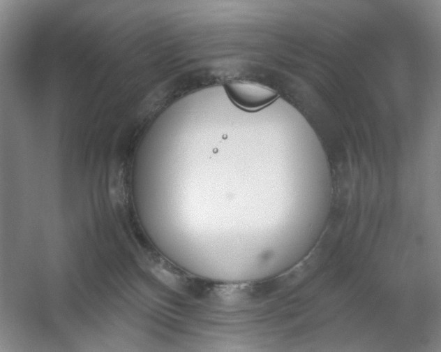 X0000053070136200507251509