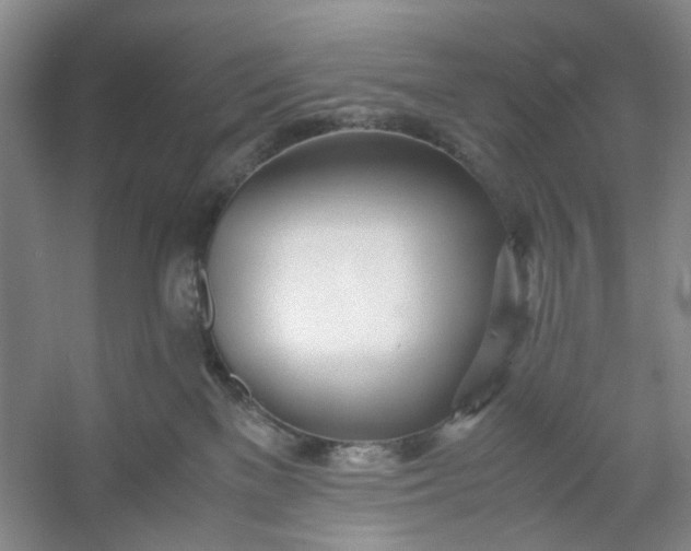 X0000053070137200507251509