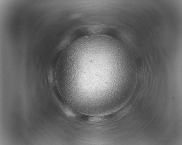 X0000053070139200507251509