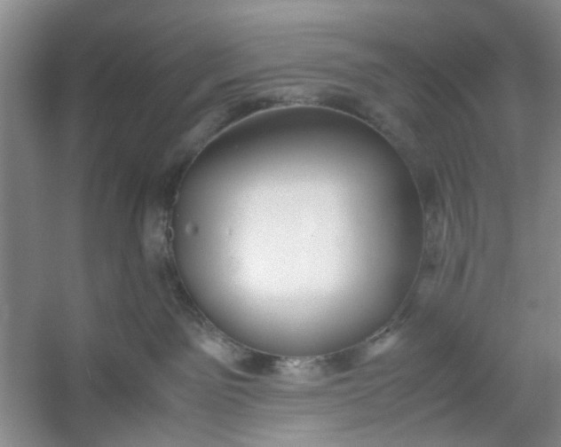 X0000053070141200507251509