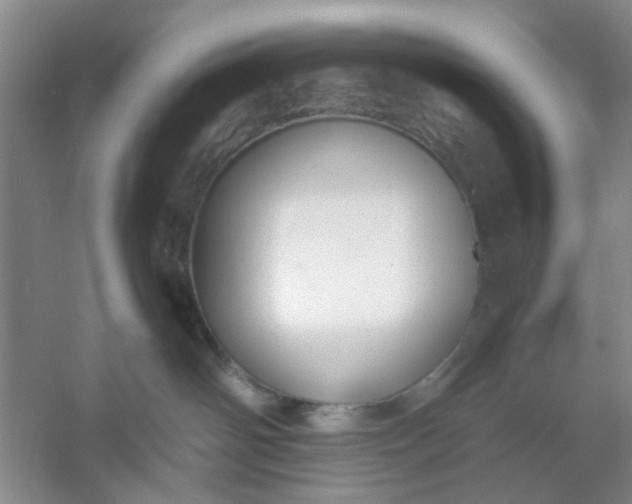 X0000053070142200507251509