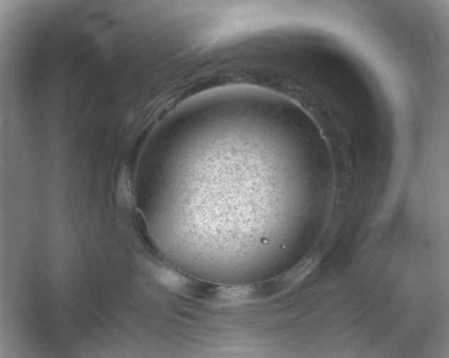 X0000053070143200507251509