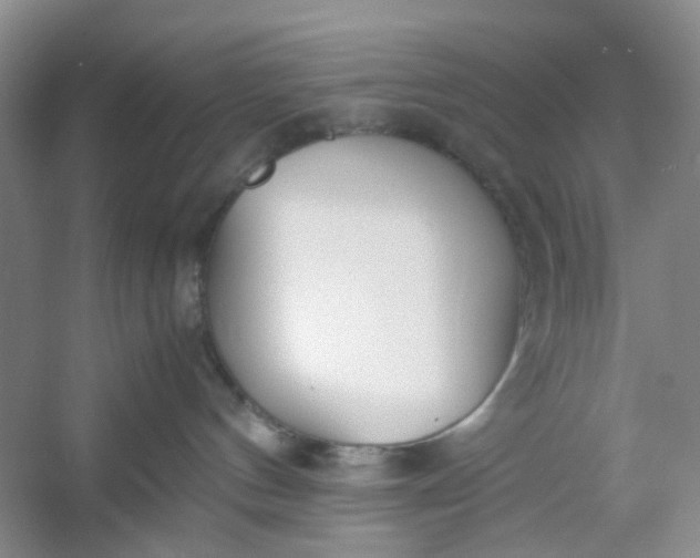 X0000053070144200507251509