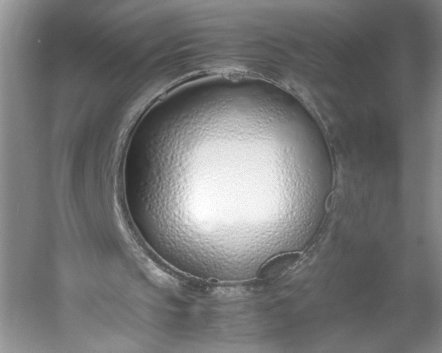 X0000053070145200507251508