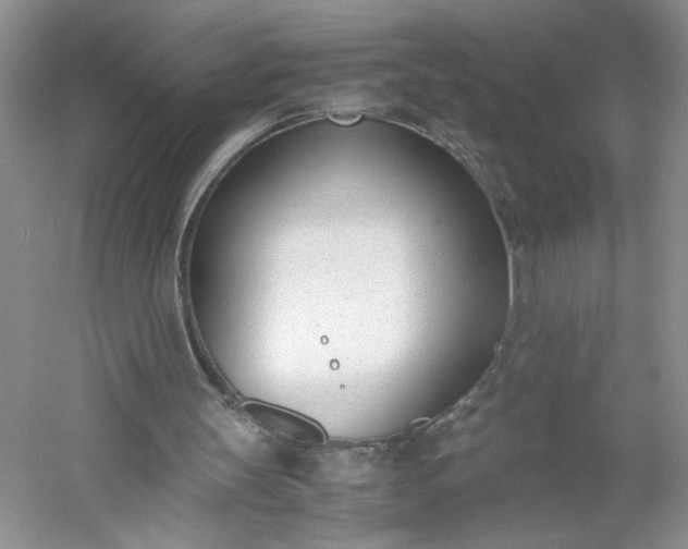 X0000053070147200507251508