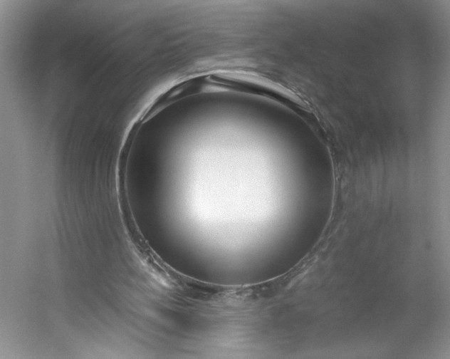 X0000053070148200507251508