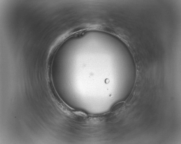 X0000053070149200507251508