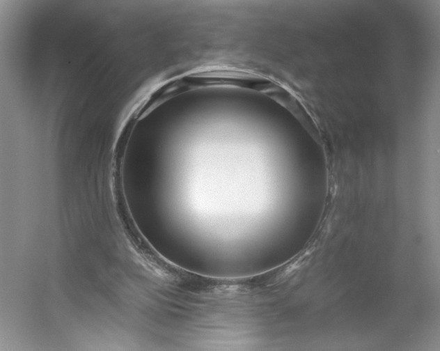 X0000053070152200507251509