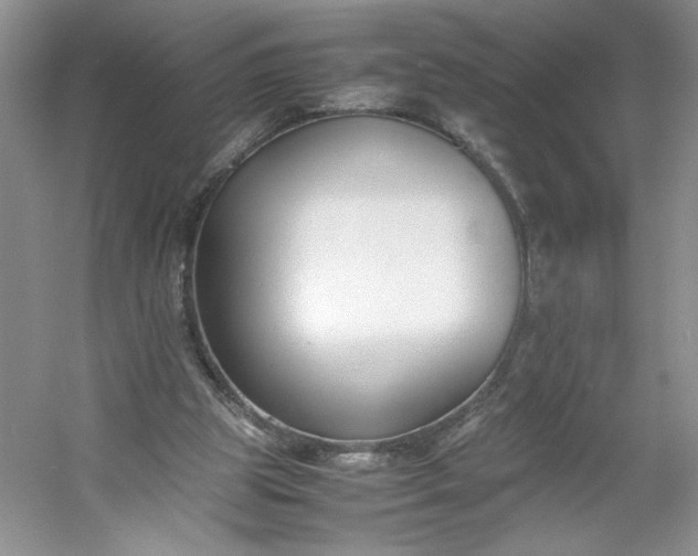 X0000053070153200507251509