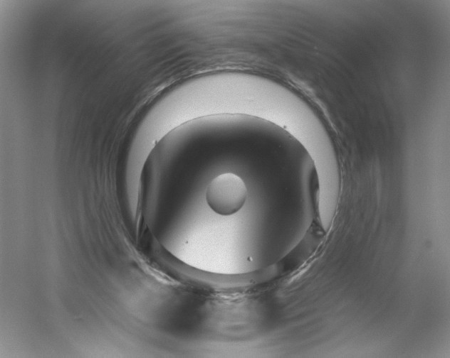 X0000053070154200507251509