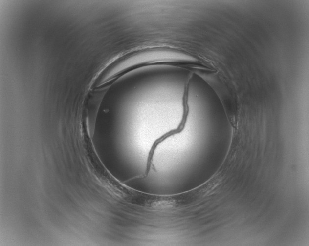 X0000053070156200507251509