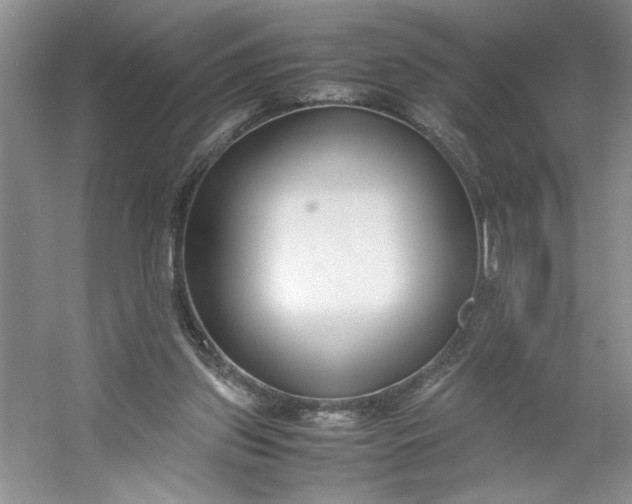 X0000053070157200507251509