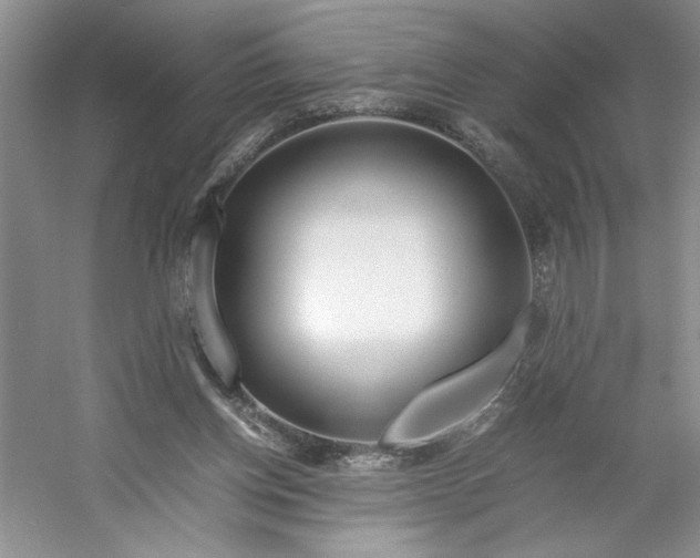 X0000053070158200507251509