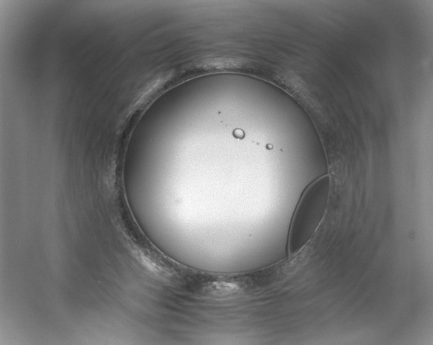 X0000053070159200507251509