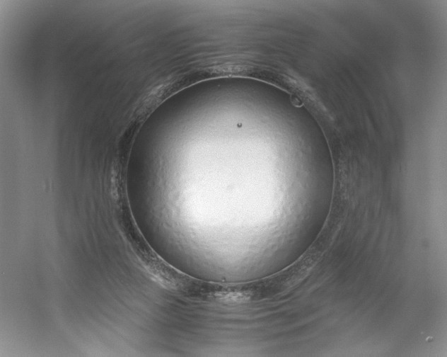 X0000053070161200507251509