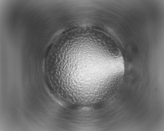 X0000053070163200507251509