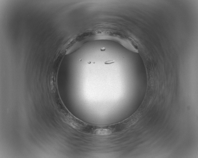 X0000053070169200507251509