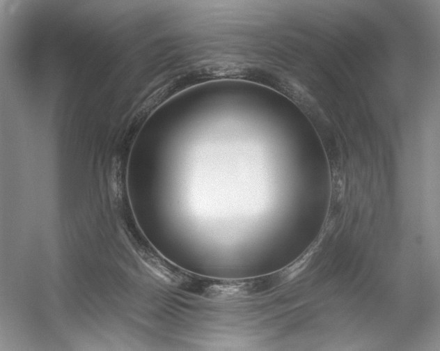 X0000053070170200507251509