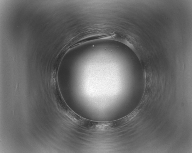 X0000053070172200507251509