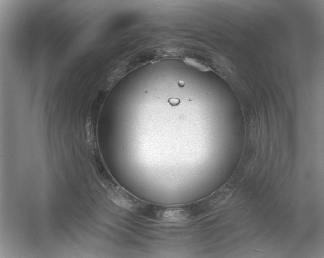 X0000053070173200507251509