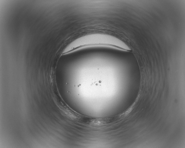 X0000053070174200507251509