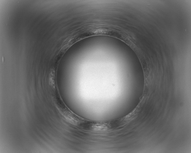 X0000053070175200507251509