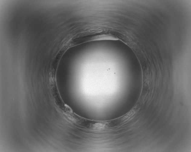 X0000053070176200507251509