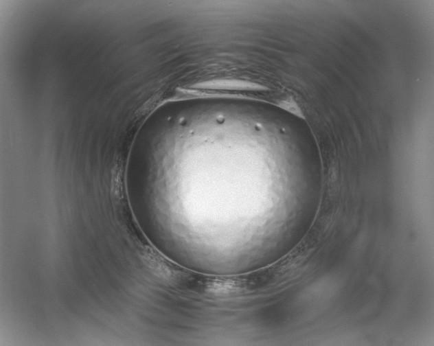 X0000053070177200507251509