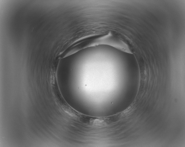 X0000053070180200507251509