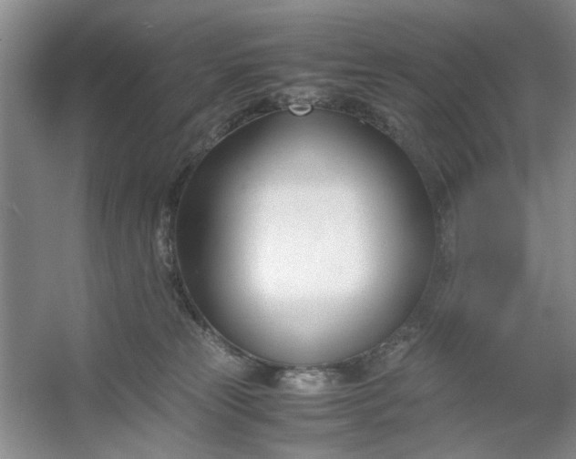 X0000053070181200507251509