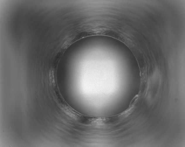 X0000053070182200507251509