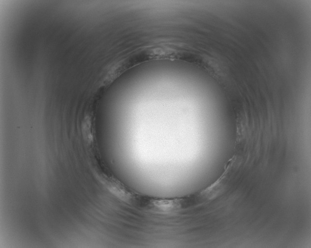 X0000053070187200507251509