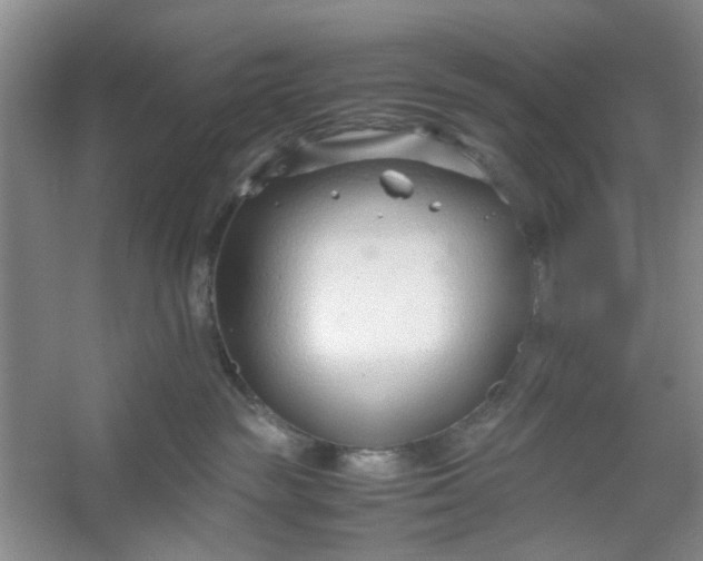 X0000053070189200507251509