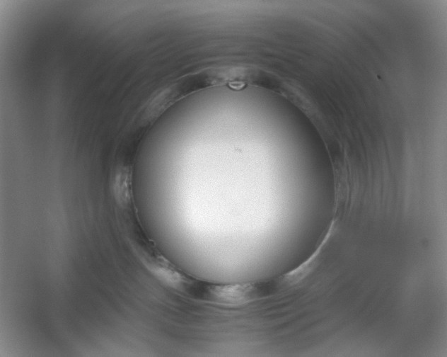 X0000053070191200507251509