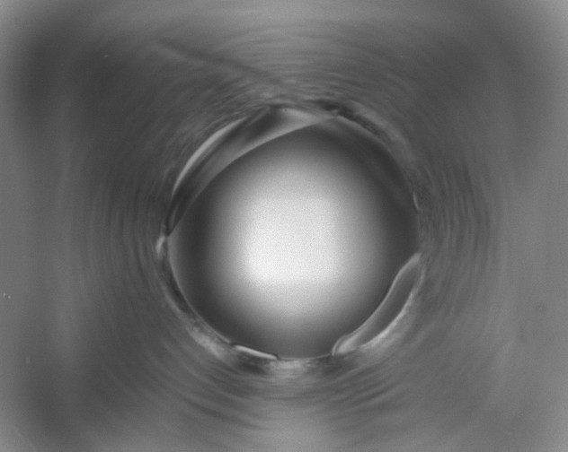 X0000053070192200507251509