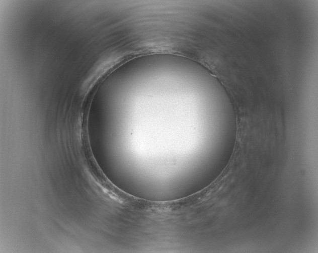 X0000053070194200507251508