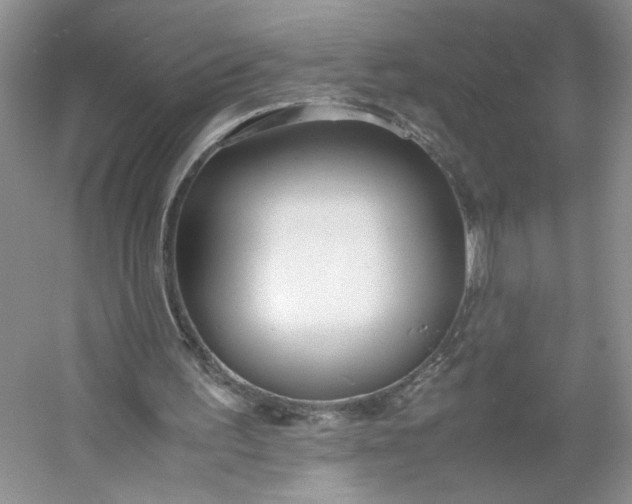 X0000053070195200507251508