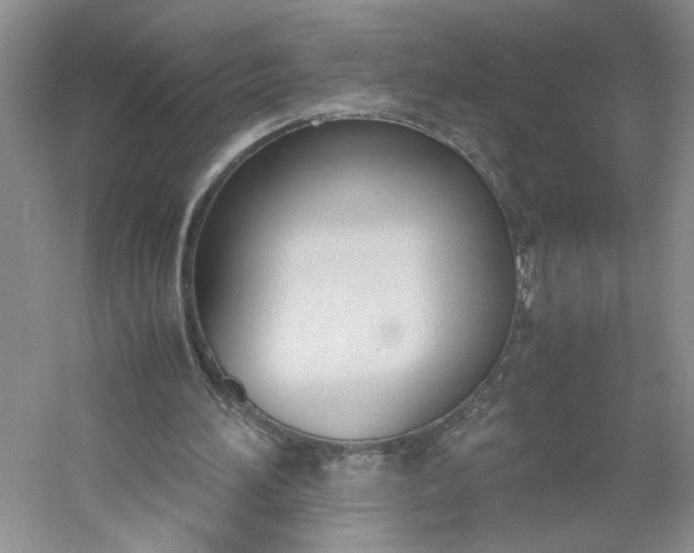 X0000053070196200507251508