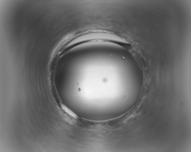 X0000053070197200507251508