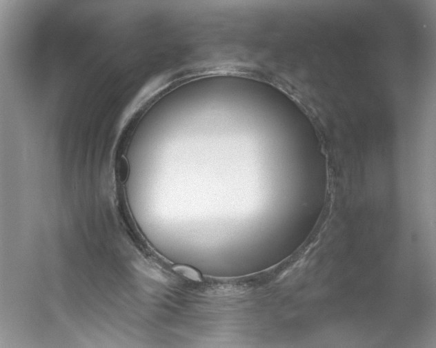 X0000053070198200507251508