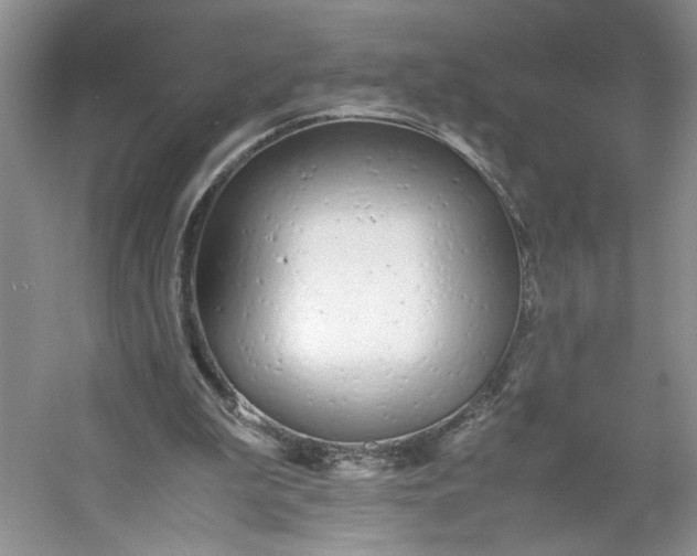 X0000053070199200507251508