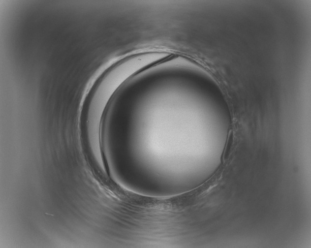 X0000053070200200507251508