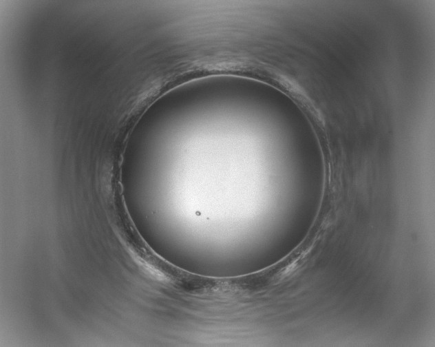 X0000053070201200507251508