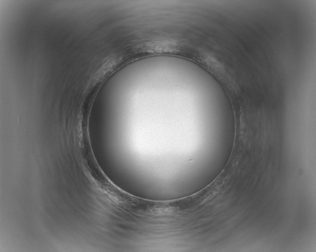 X0000053070202200507251508