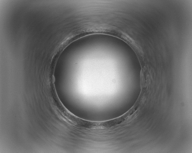 X0000053070203200507251508