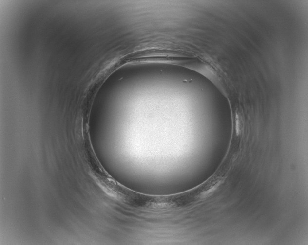 X0000053070205200507251508