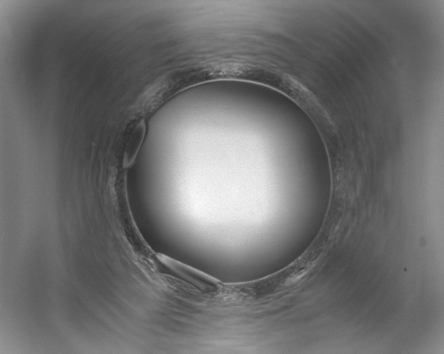 X0000053070209200507251508