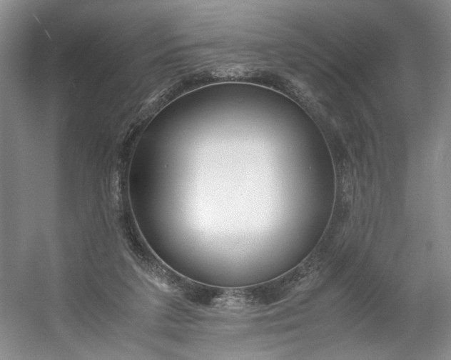 X0000053070211200507251508